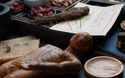 Traditional Chinese Medicine and Acupuncture: Historical Context and Modern Applications – A Practitioner’s Insight