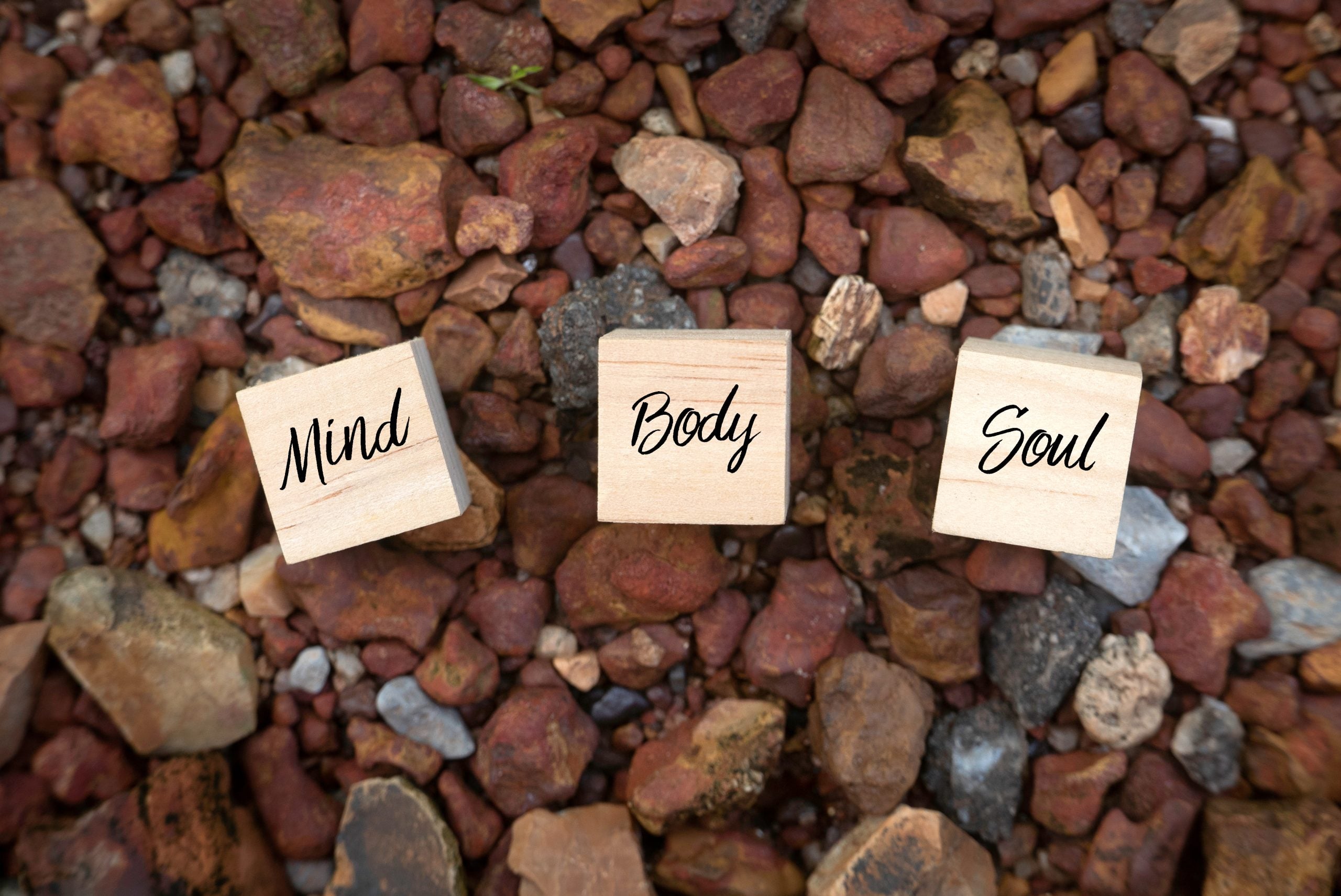 The Role of Medical Massage in Holistic Health: An Acupuncturist’s Perspective