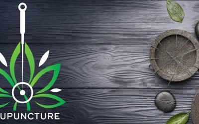 Experience Pain Relief Through Acupuncture at AcuMedGroup Wellness Center